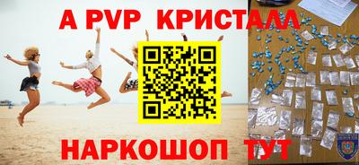 спиды Новозыбков