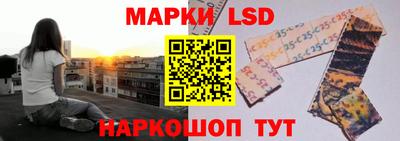 спиды Новозыбков
