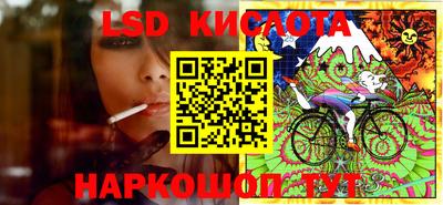 спиды Новозыбков