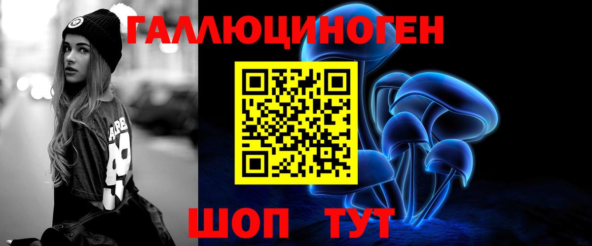 Галлюциногенные грибы Psilocybine cubensis Тольятти